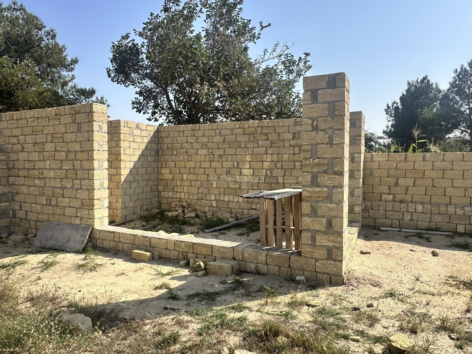 Torpaq Novxanı q., Bakı