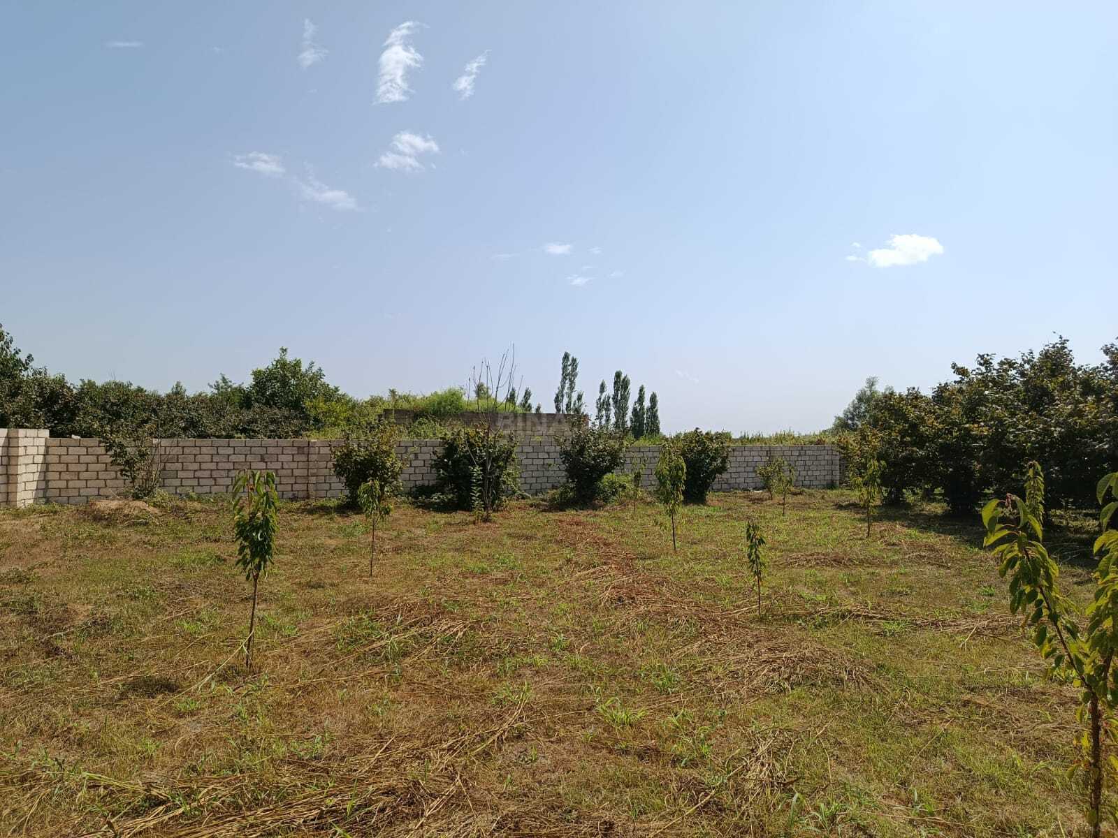 Torpaq Xaçmaz r., Xaçmaz