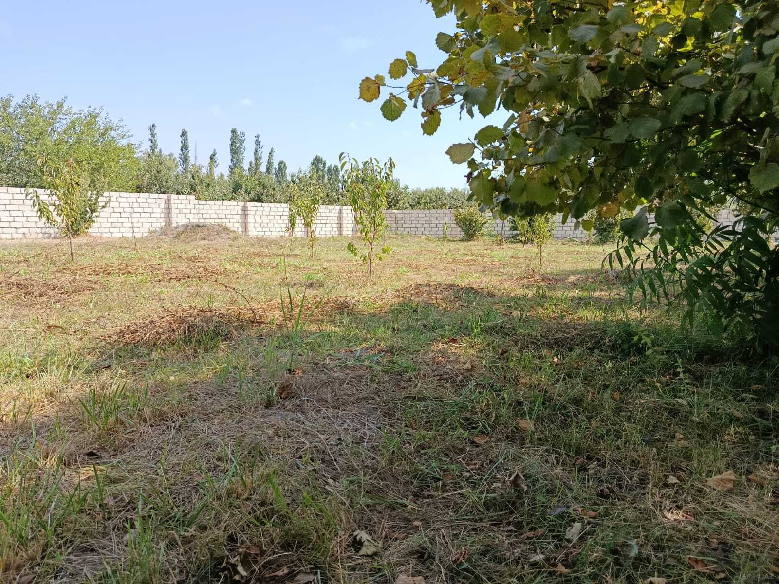 Torpaq Xaçmaz r., Xaçmaz