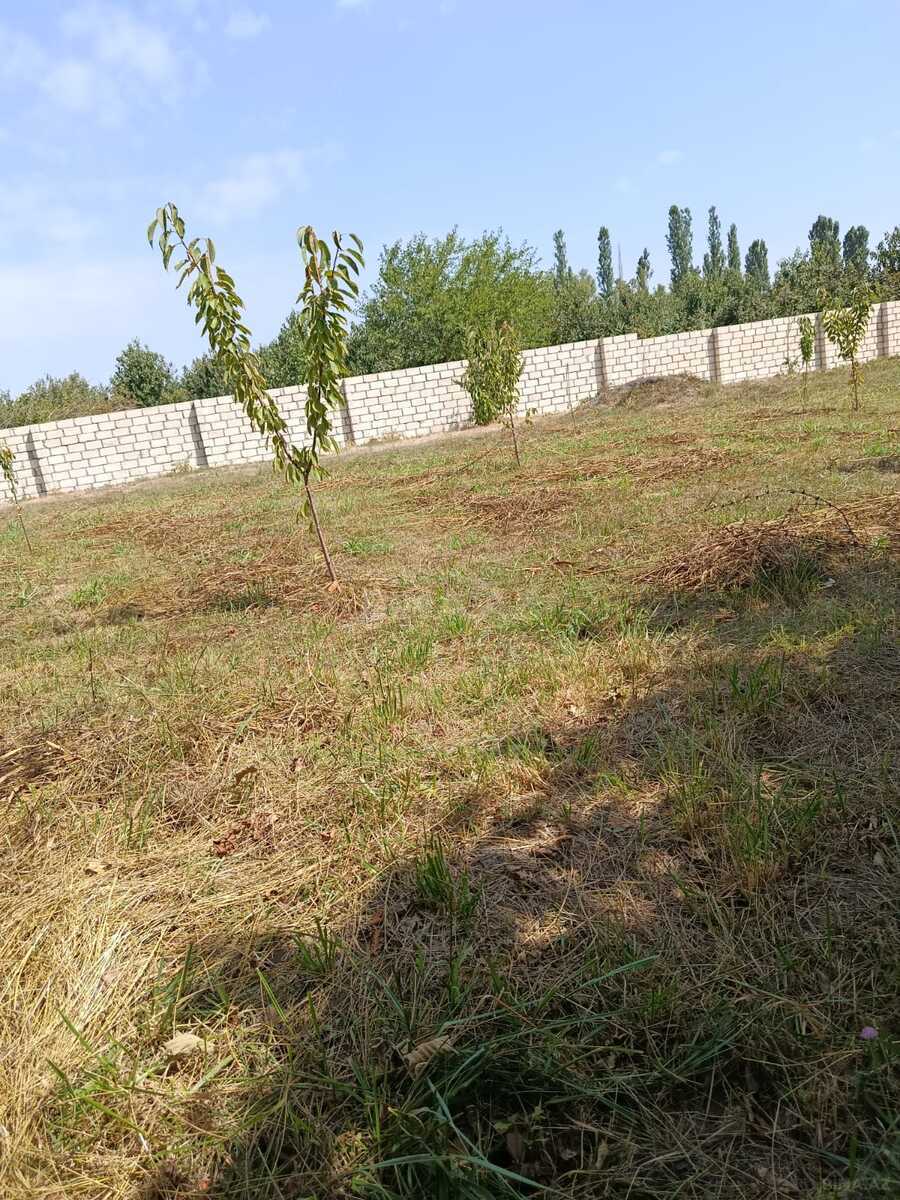 Torpaq Xaçmaz r., Xaçmaz