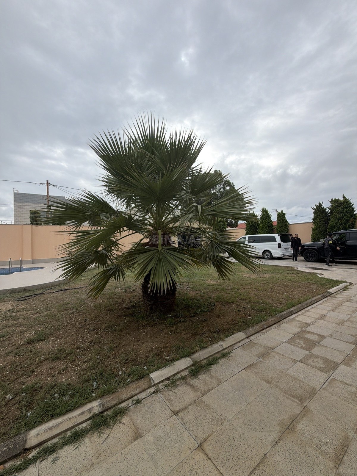6 otaqlı Həyət evi/Bağ evi, Şüvəlan q., Bakı