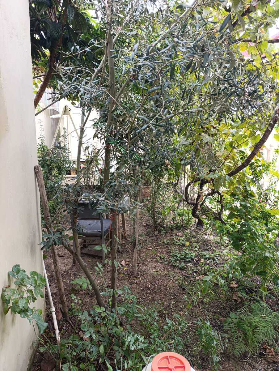 3 otaqlı Həyət evi/Bağ evi, Yeni Ramana q., Bakı