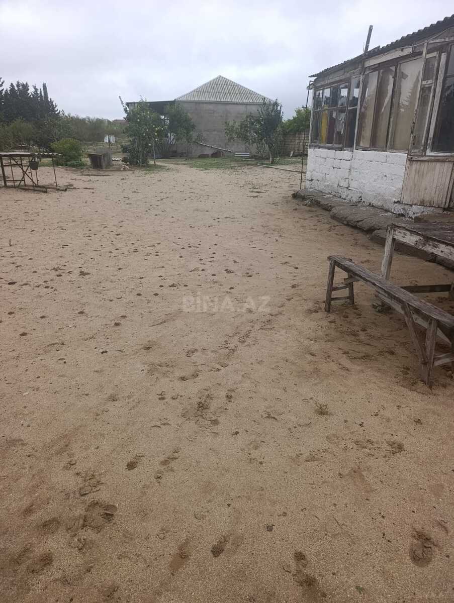 Torpaq Bilgəh q., Bakı
