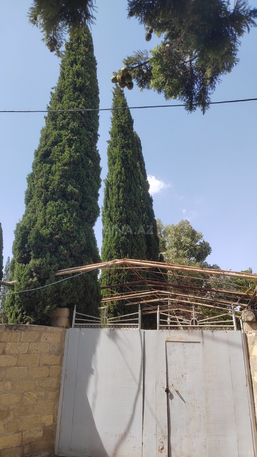 Torpaq Ələt q., Bakı