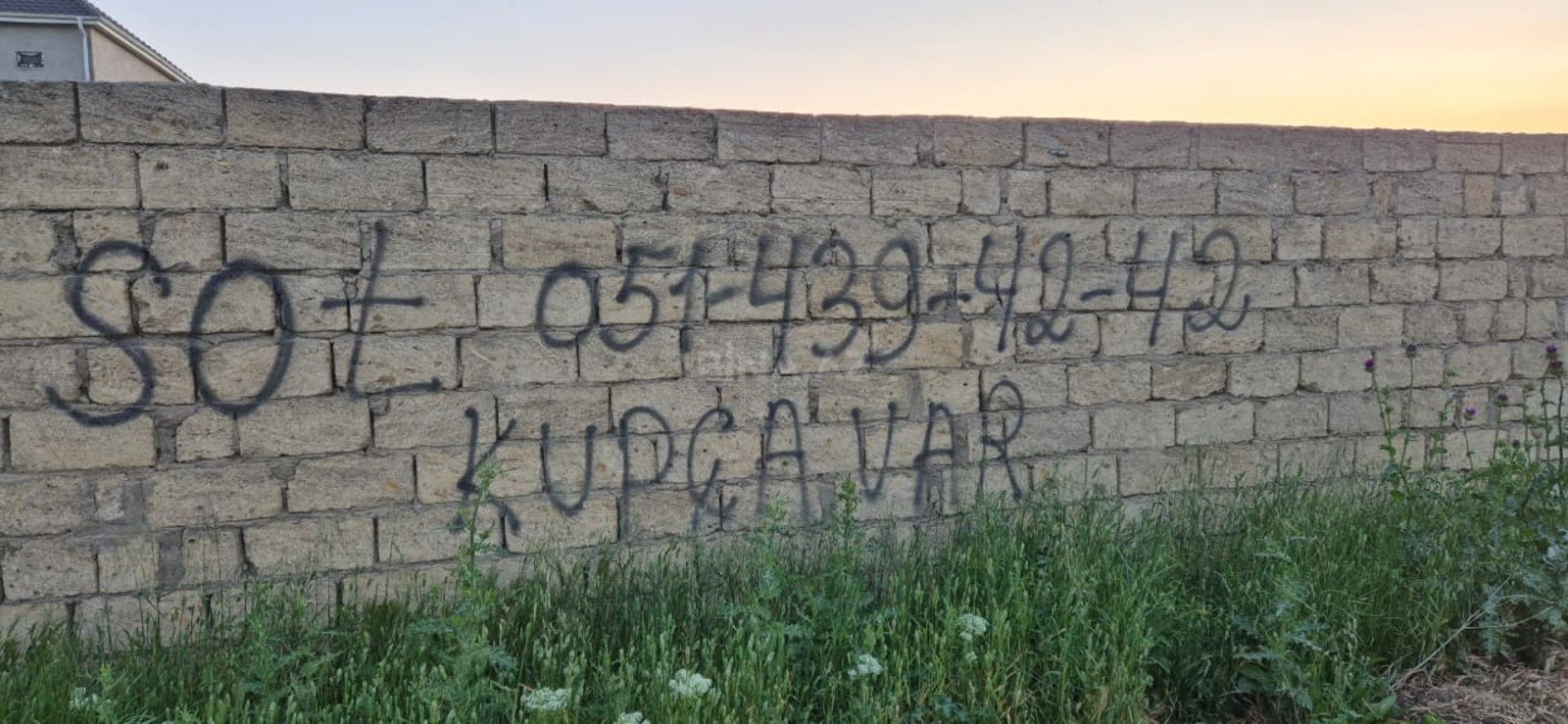 Torpaq Masazır q., Bakı