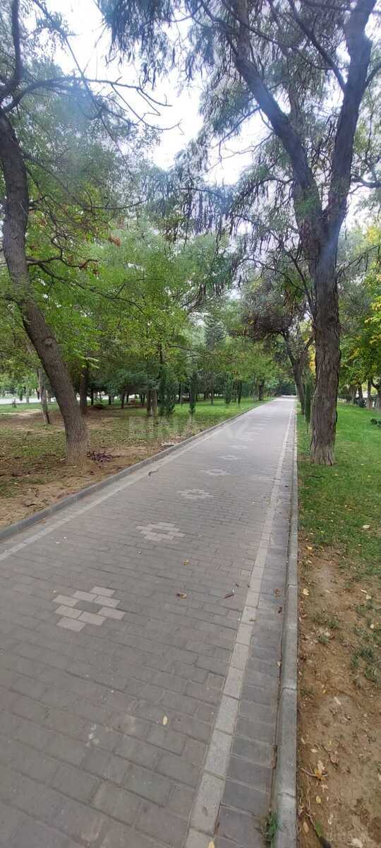 4 otaqlı Ofis, Nəsimi r., Bakı