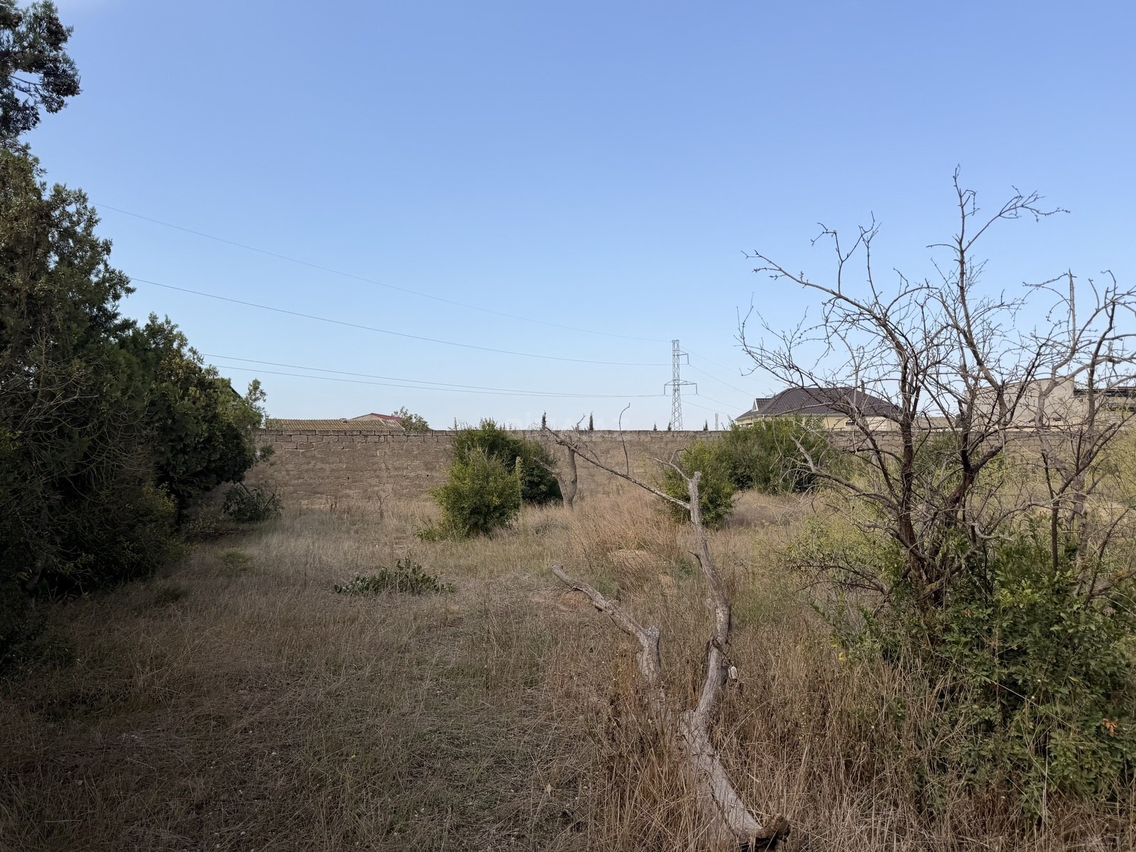 Torpaq Qala q., Bakı