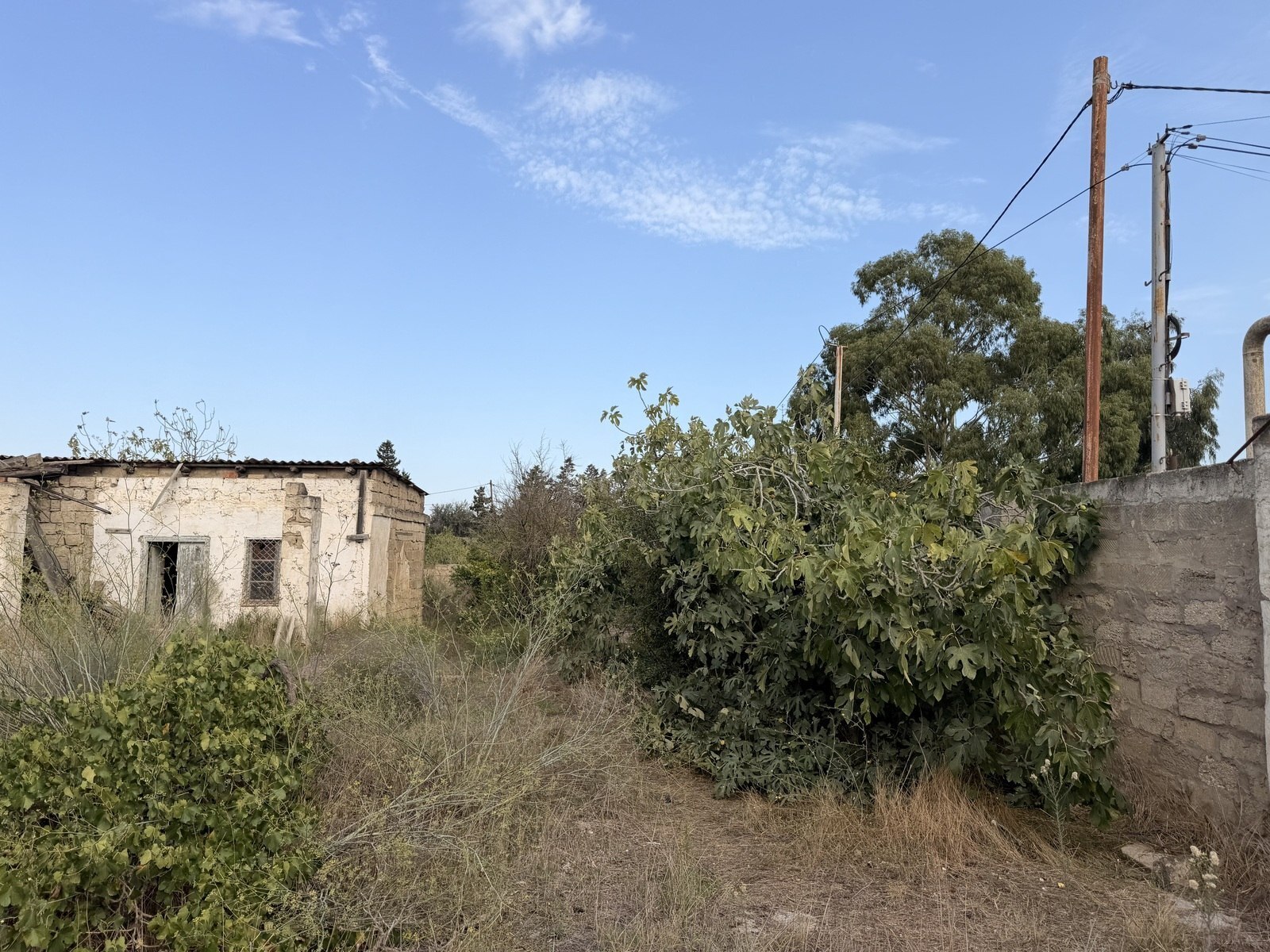 Torpaq Qala q., Bakı