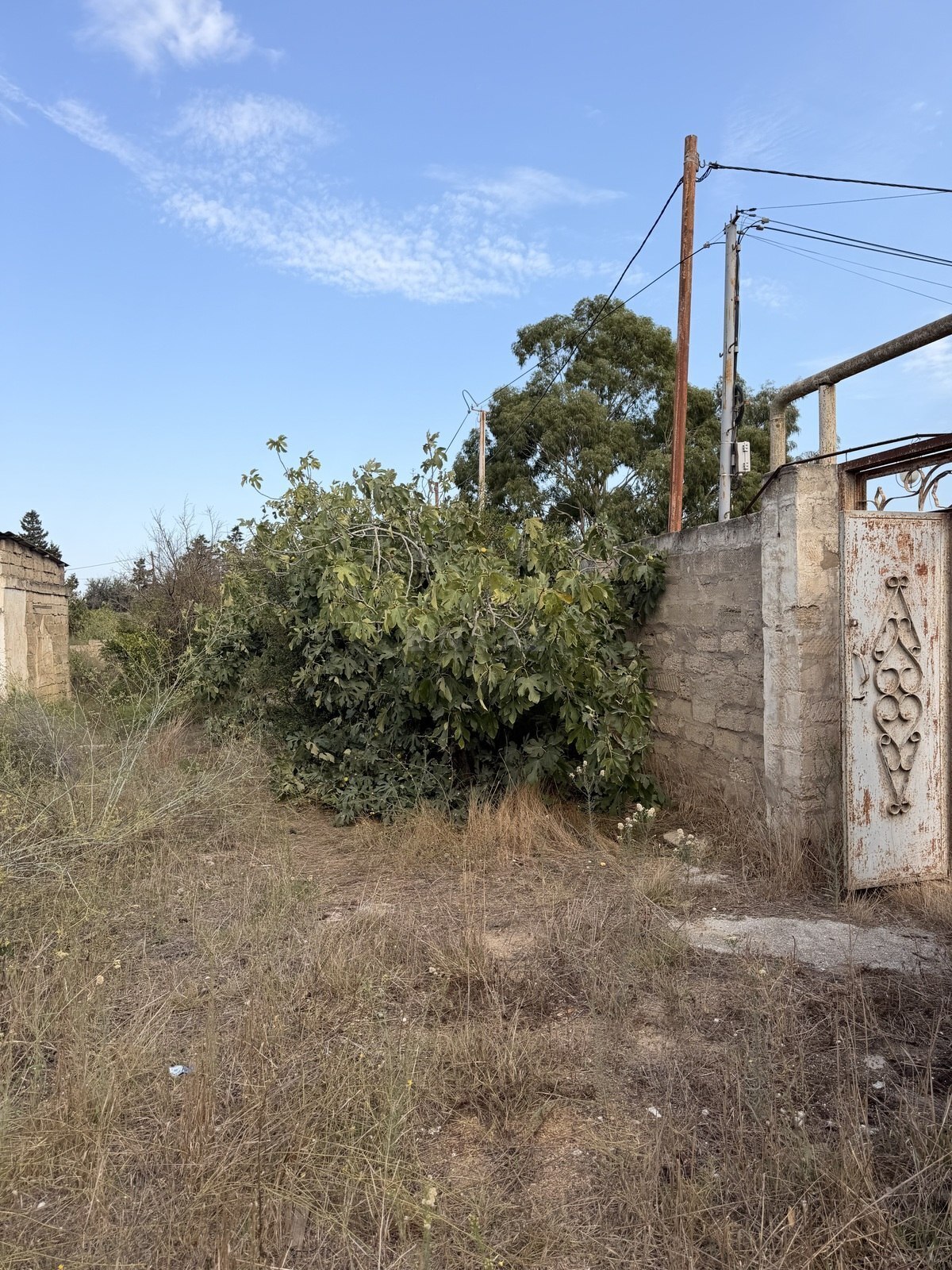 Torpaq Qala q., Bakı