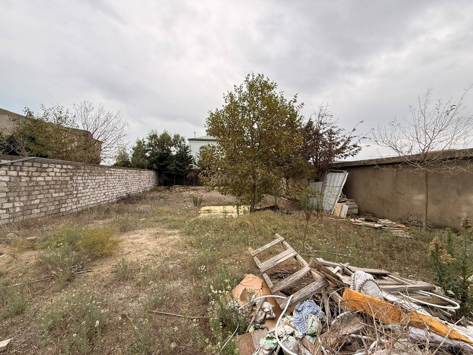 Torpaq Şağan q., Bakı
