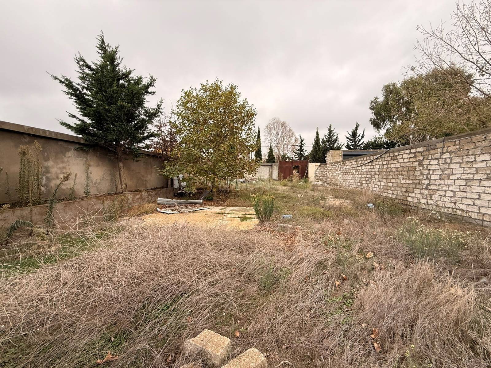 Torpaq Şağan q., Bakı