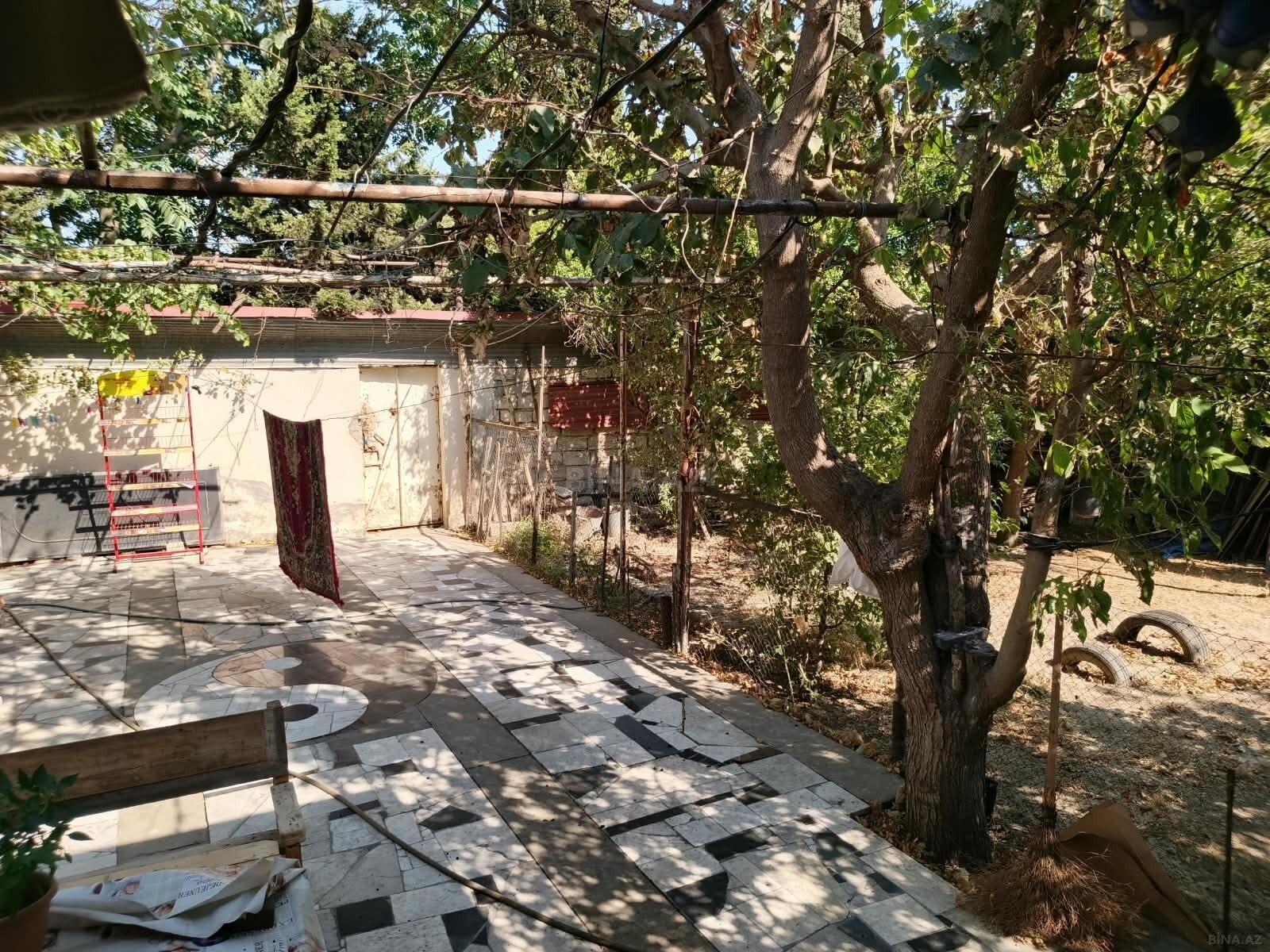 Torpaq Ramana q., Bakı