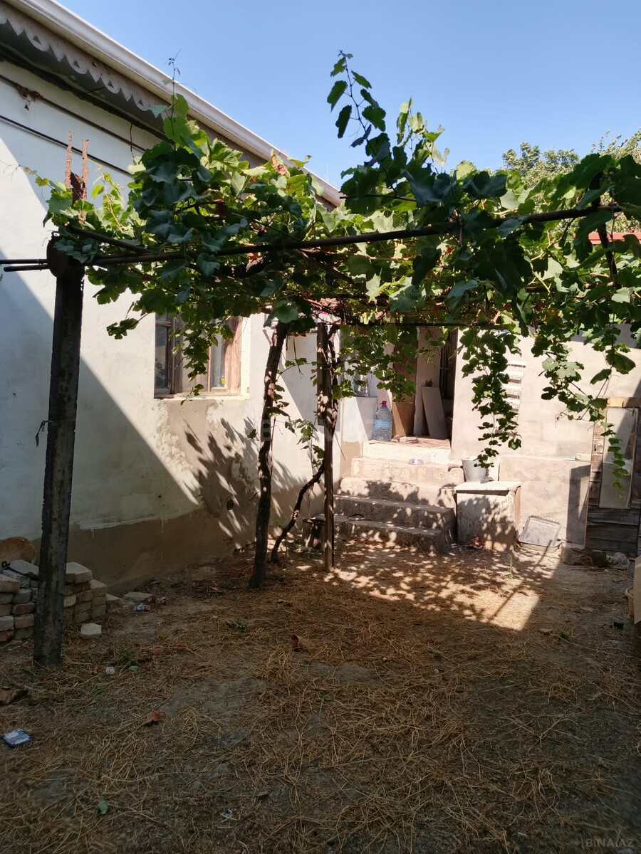 Torpaq Ramana q., Bakı
