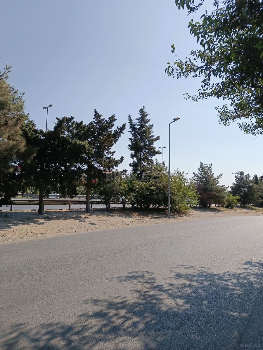 Torpaq Ramana q., Bakı
