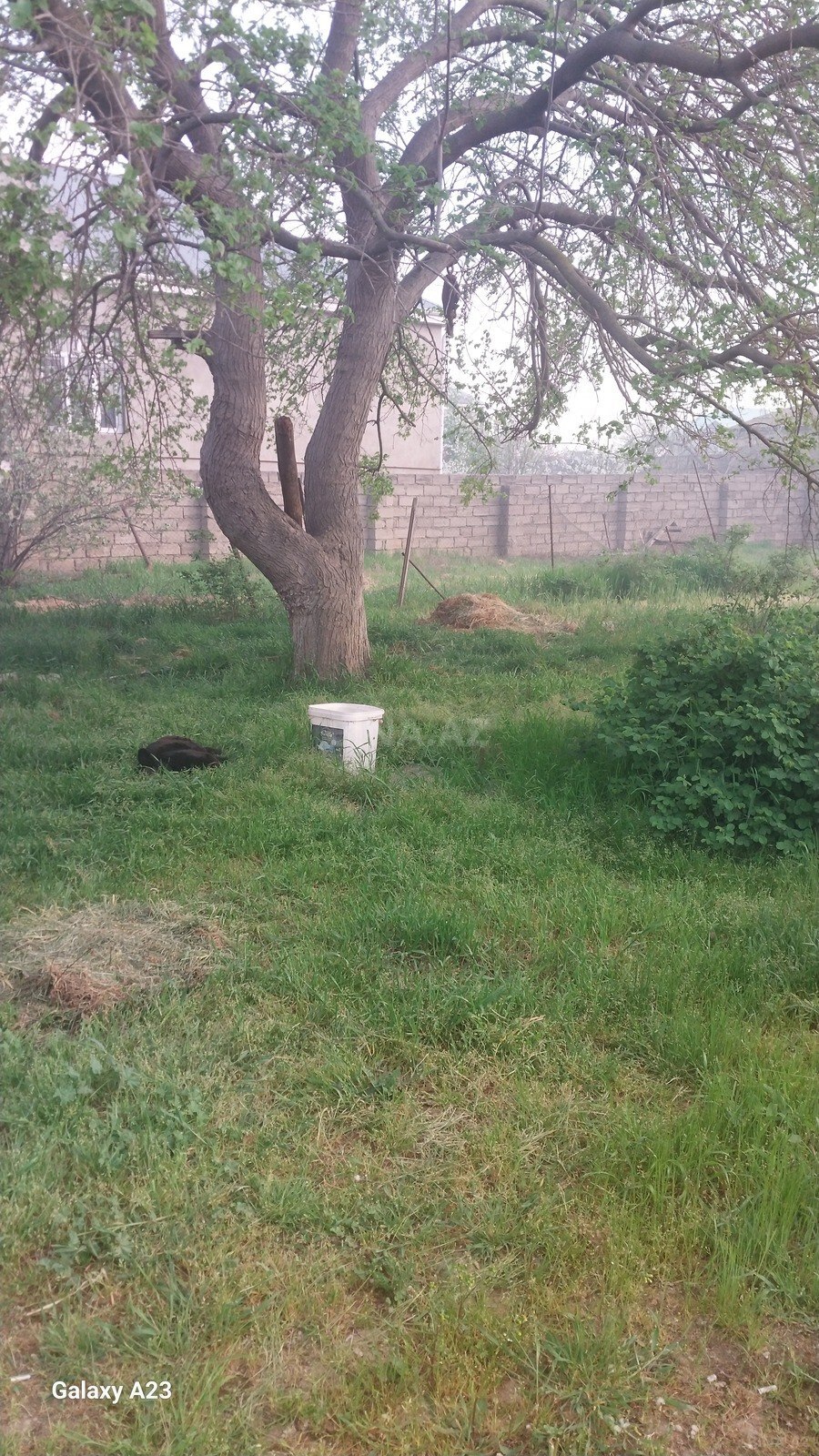 Torpaq Sabunçu r., Bakı