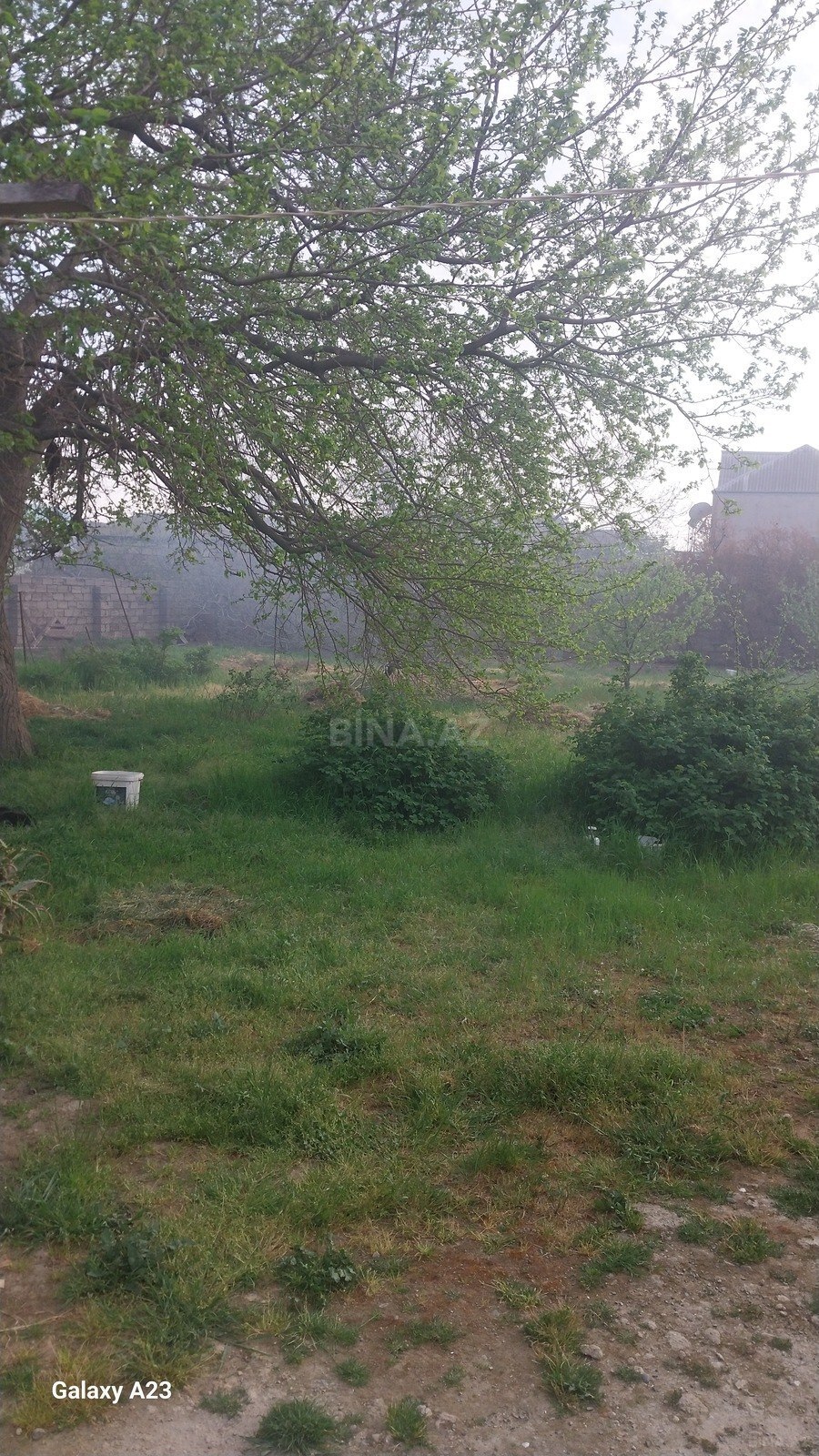 Torpaq Sabunçu r., Bakı