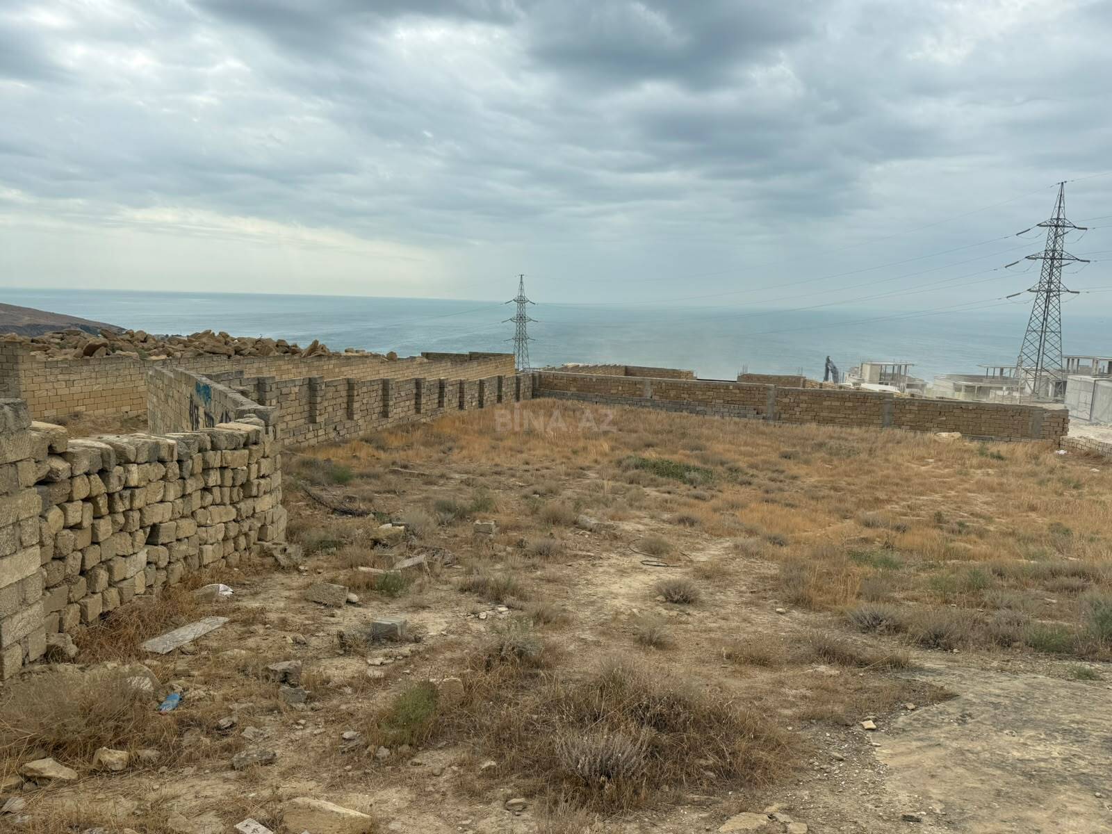 Torpaq Badamdar q., Bakı