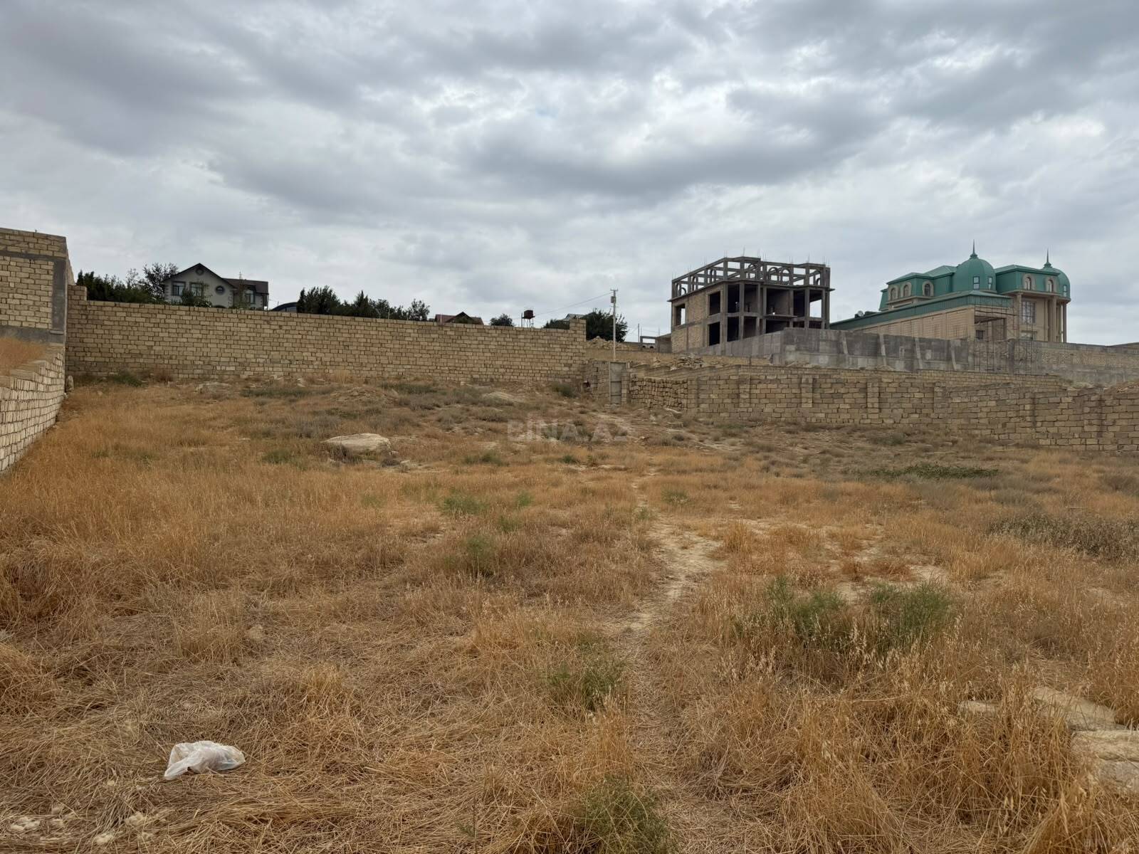 Torpaq Badamdar q., Bakı