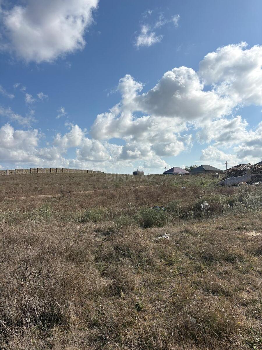 Torpaq Məmmədli q., Bakı