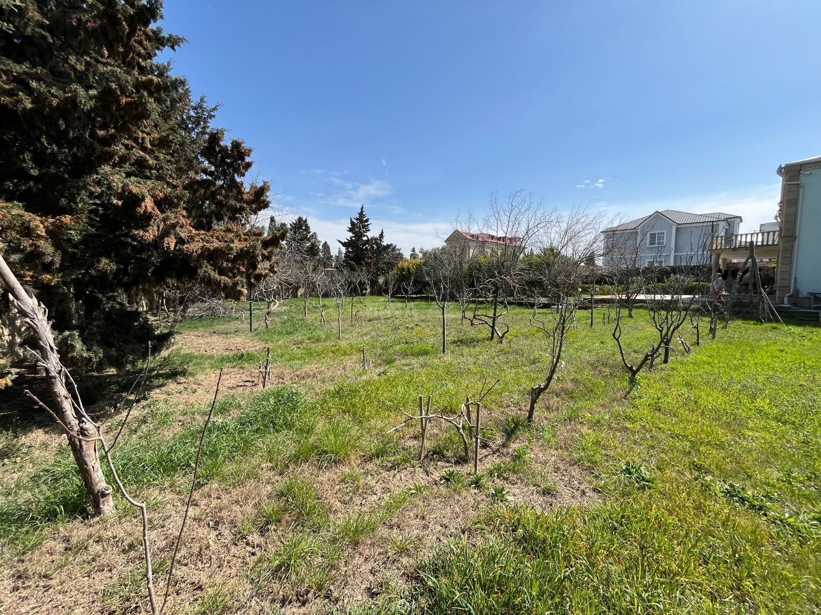 Torpaq Mərdəkan q., Bakı