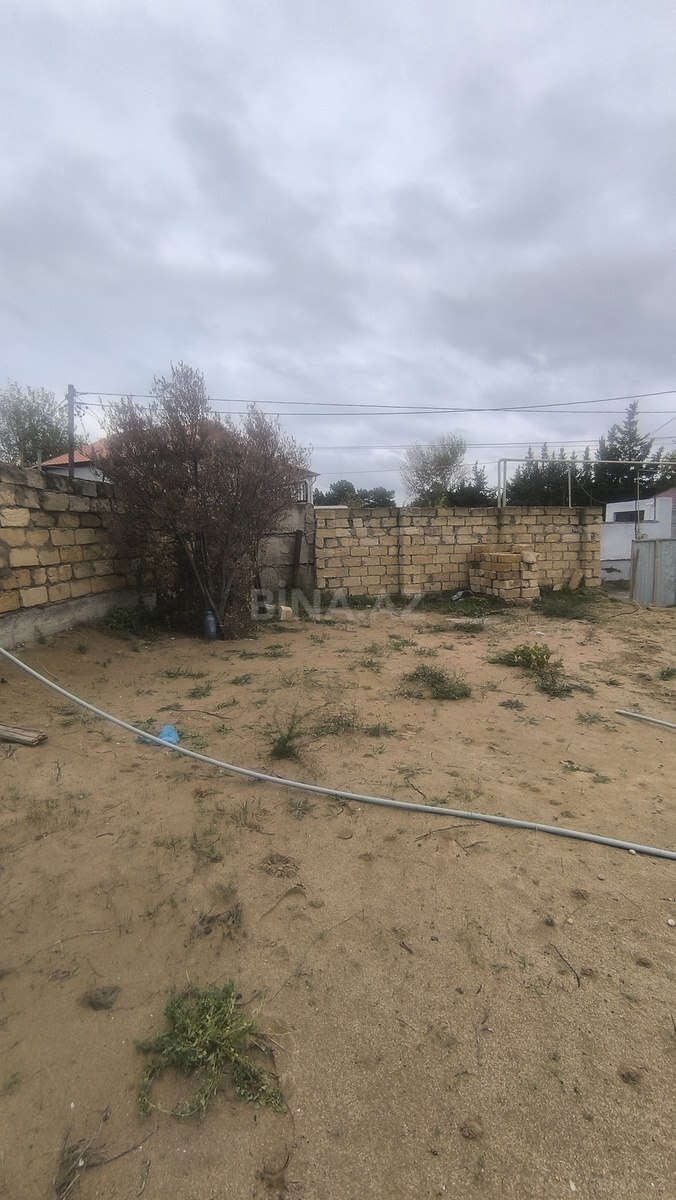 Torpaq Novxanı q., Bakı