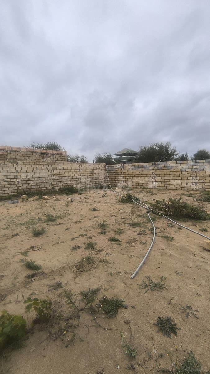 Torpaq Novxanı q., Bakı