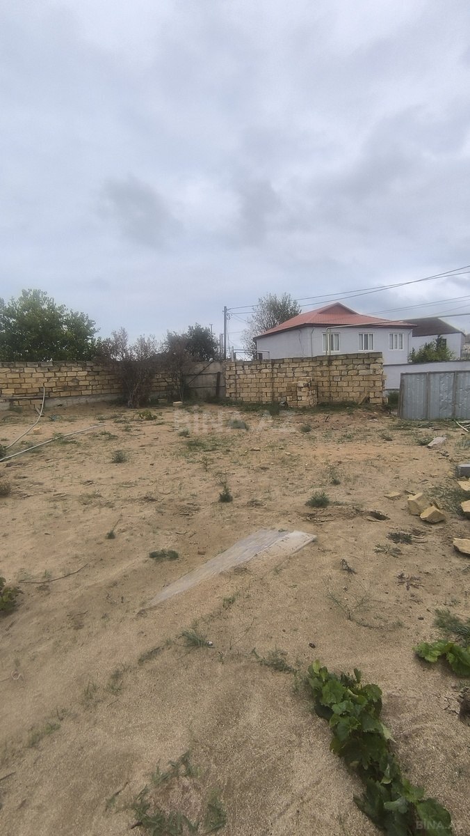 Torpaq Novxanı q., Bakı