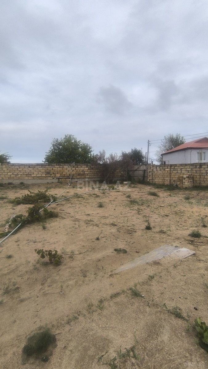 Torpaq Novxanı q., Bakı