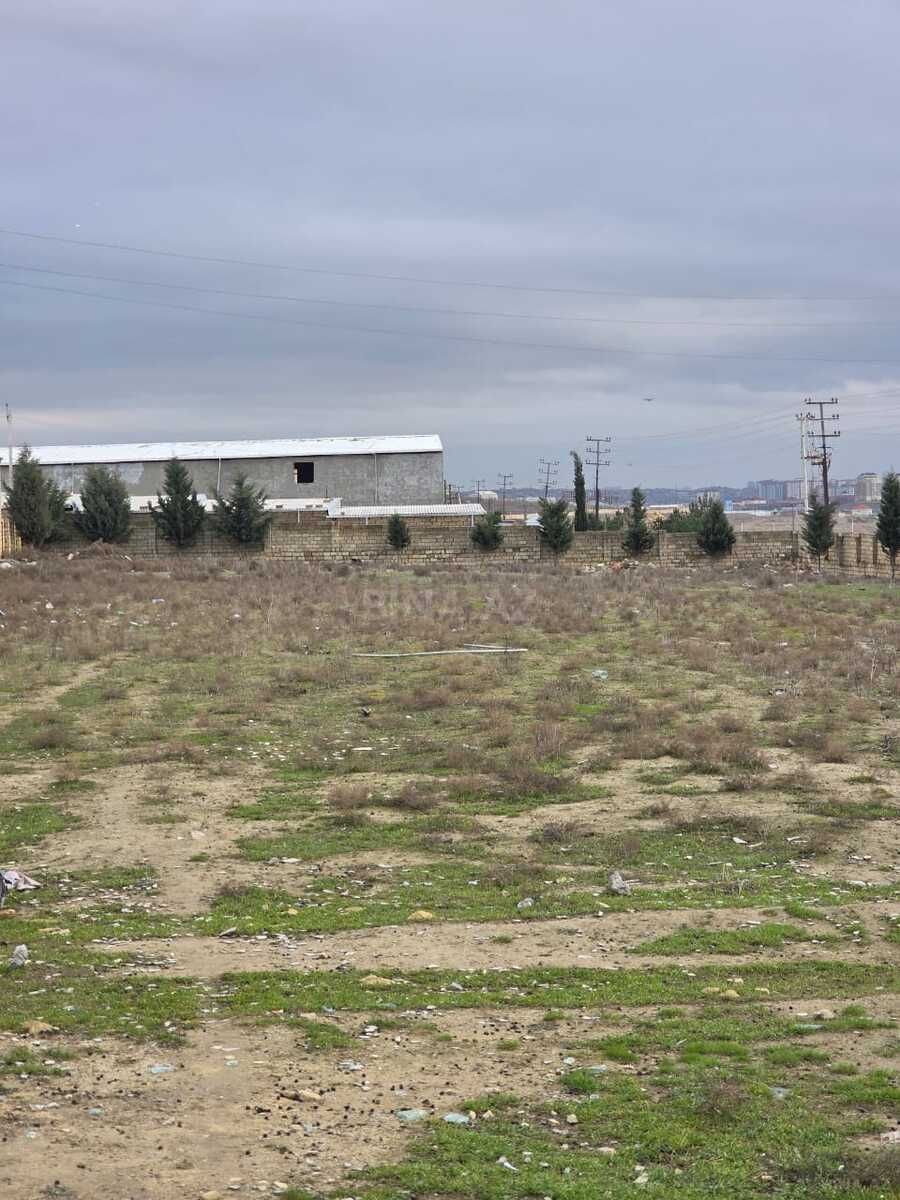 Torpaq Saray q., Bakı
