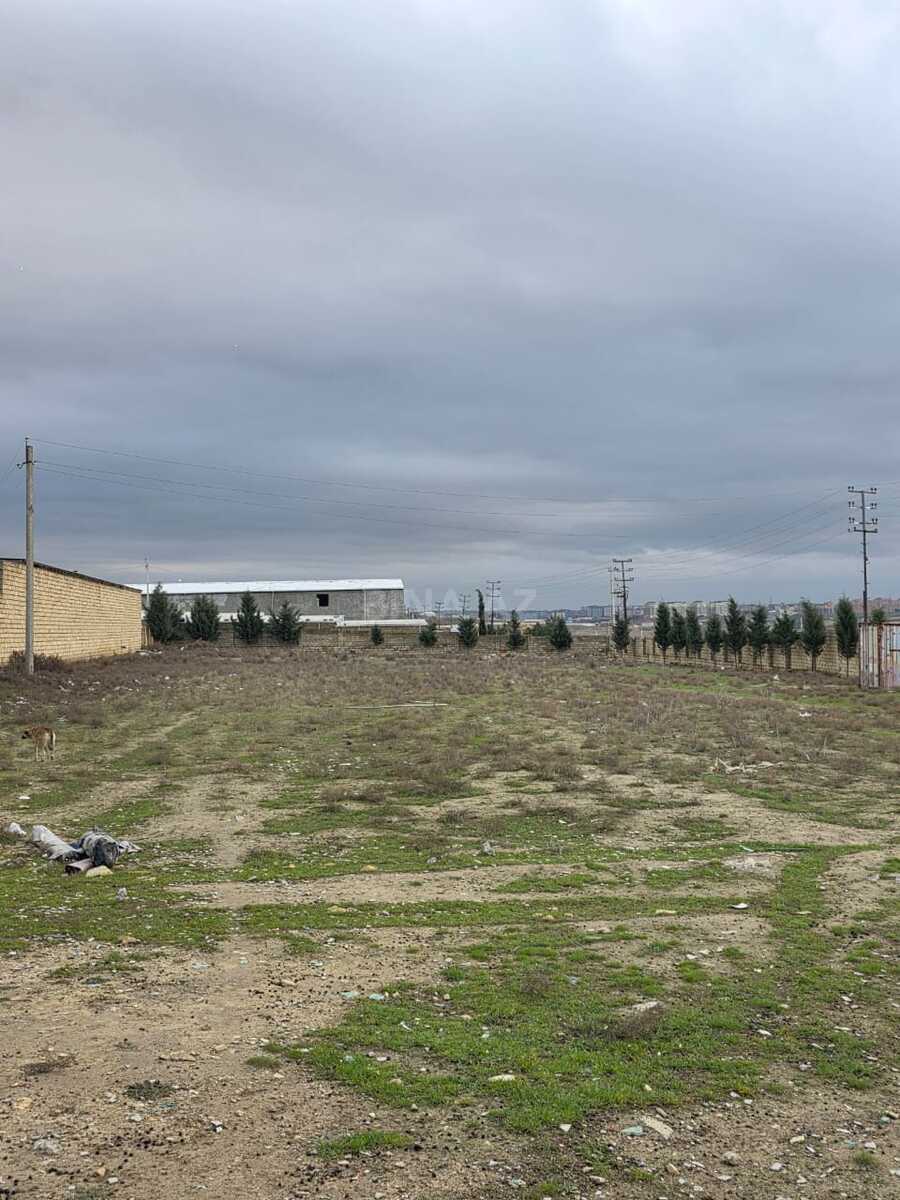 Torpaq Saray q., Bakı