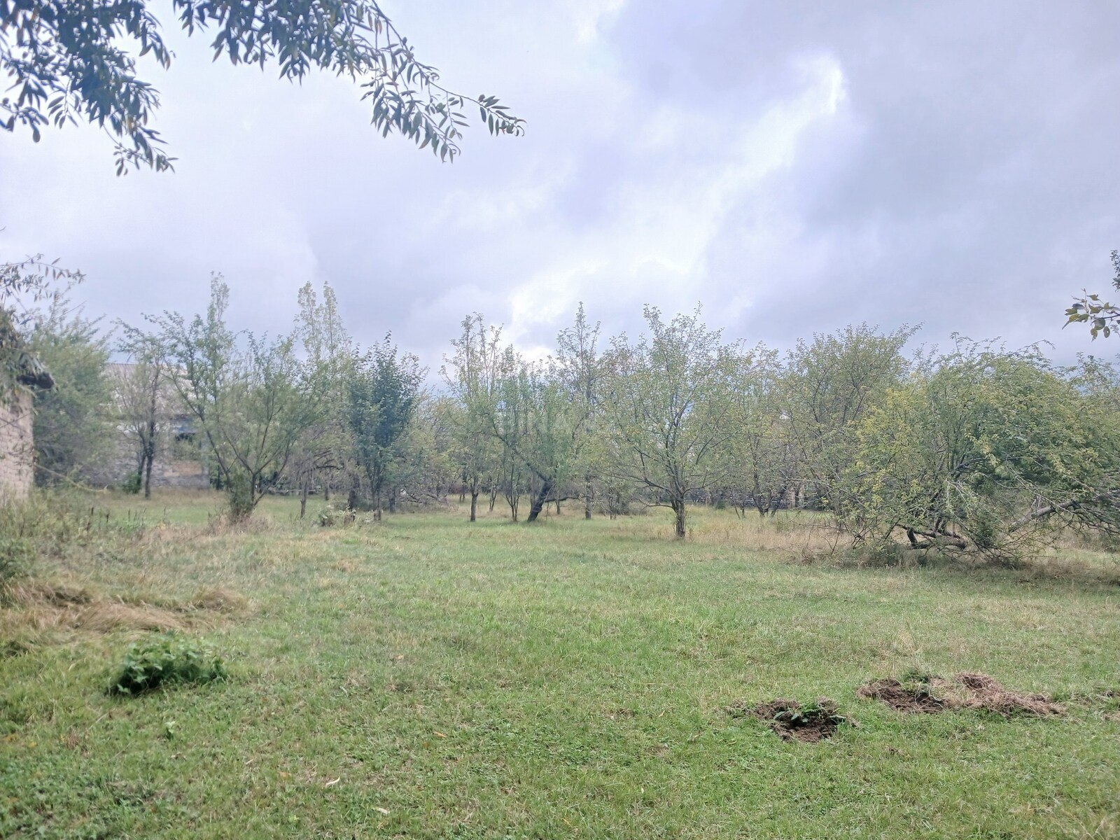 Torpaq Qəbələ
