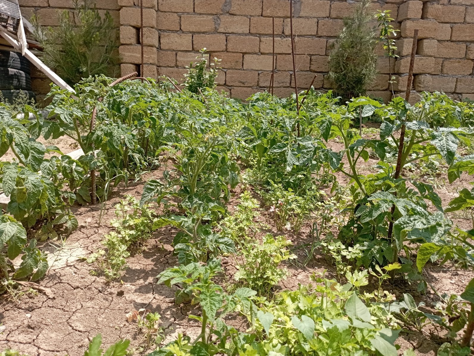 5 otaqlı Həyət evi/Bağ evi, Qobu q., Bakı