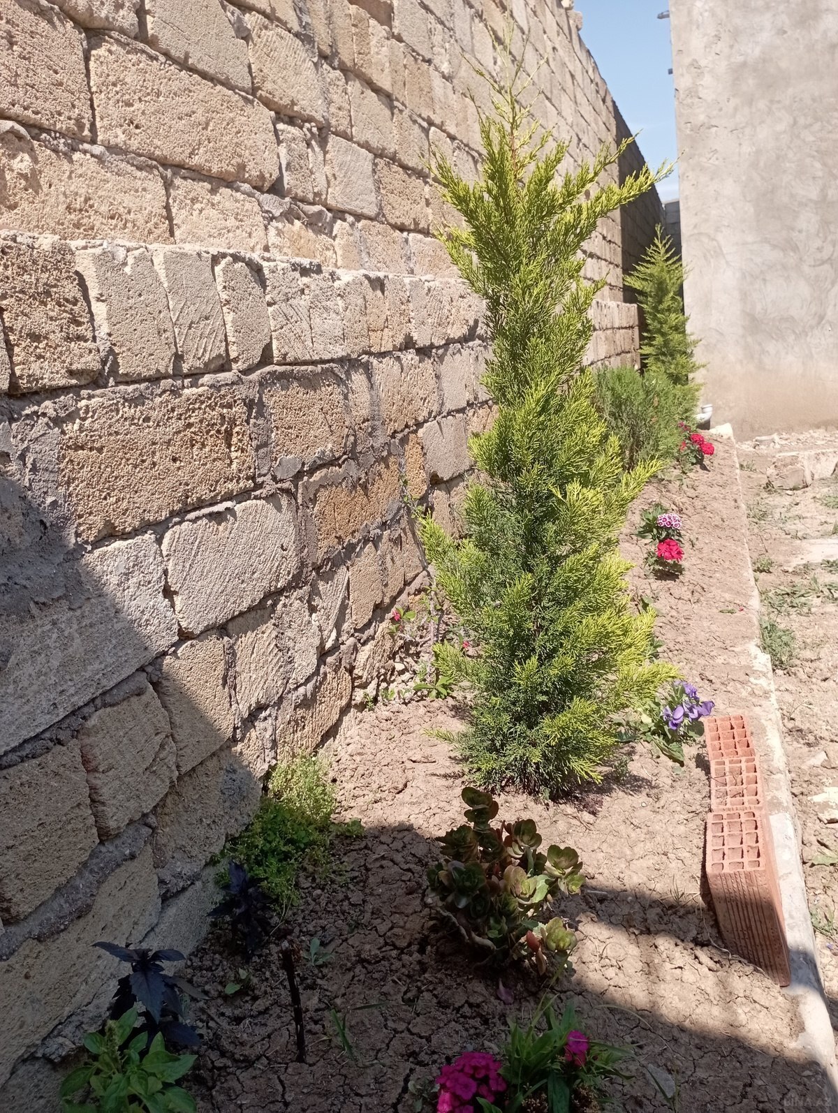 5 otaqlı Həyət evi/Bağ evi, Qobu q., Bakı