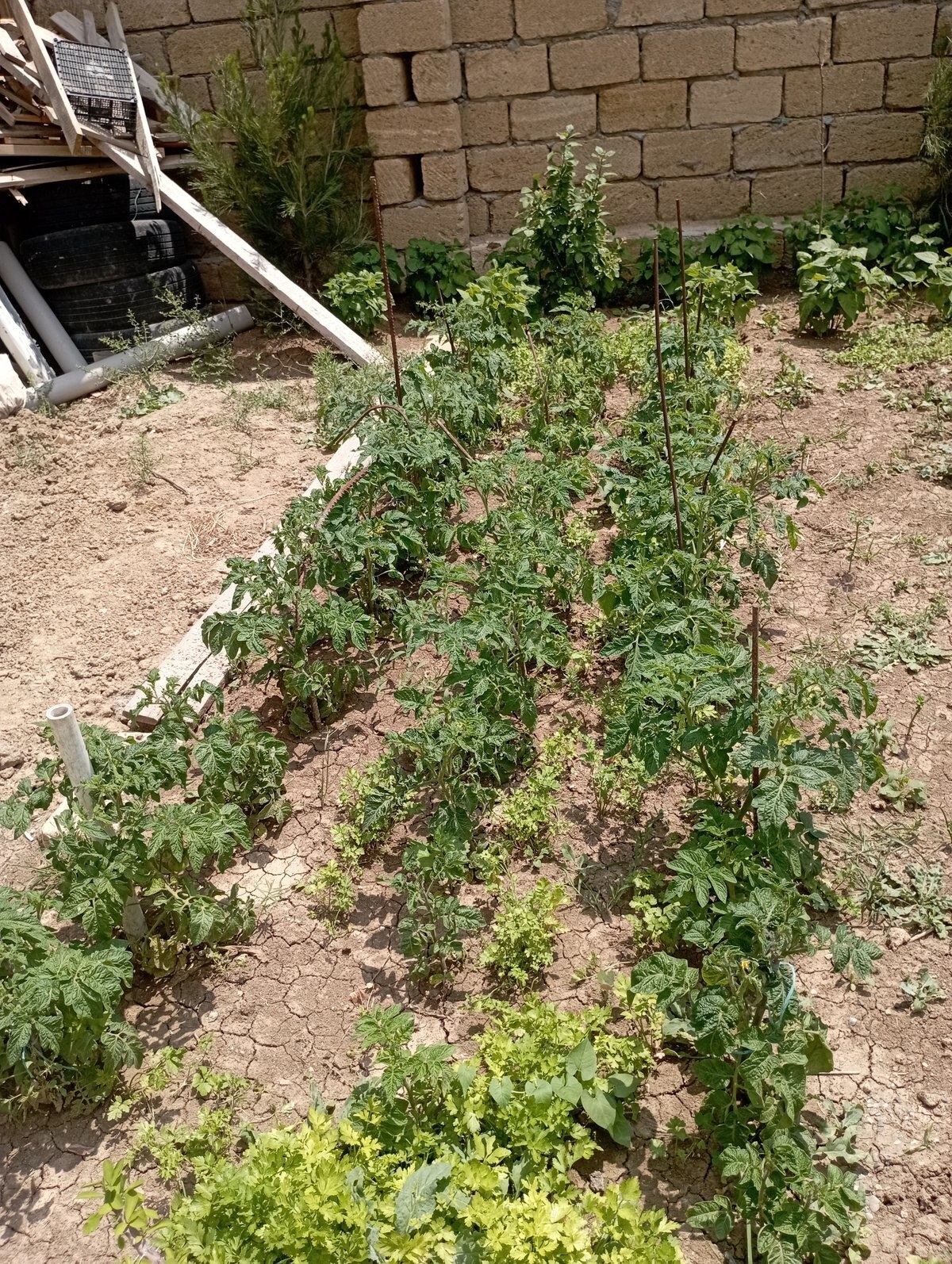 5 otaqlı Həyət evi/Bağ evi, Qobu q., Bakı
