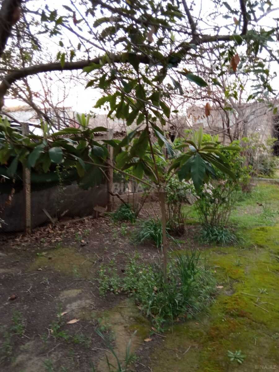 Torpaq Azadlıq Prospekti m., Bakı