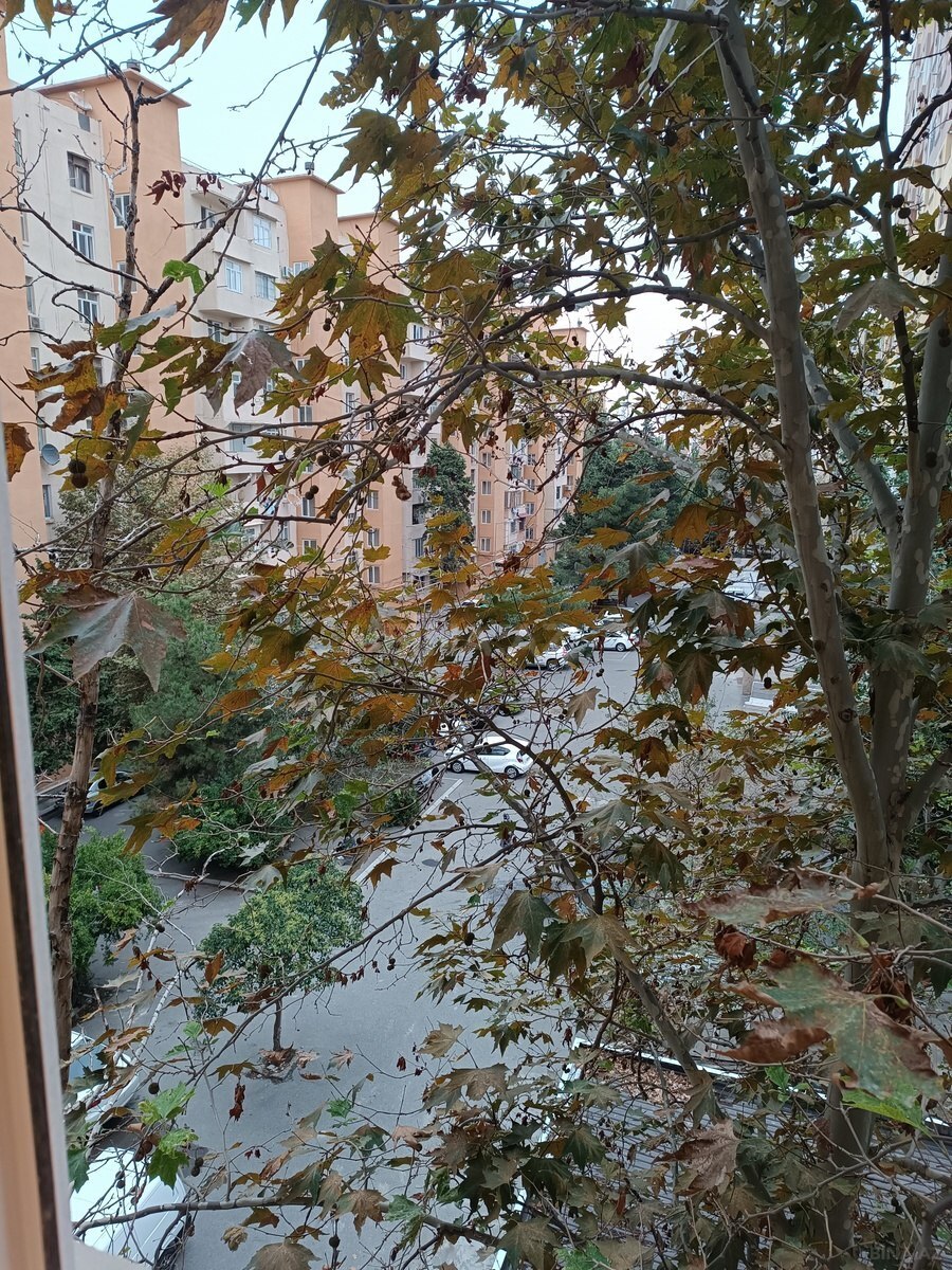 3 otaqlı Köhnə tikili, Xalqlar Dostluğu m., Bakı
