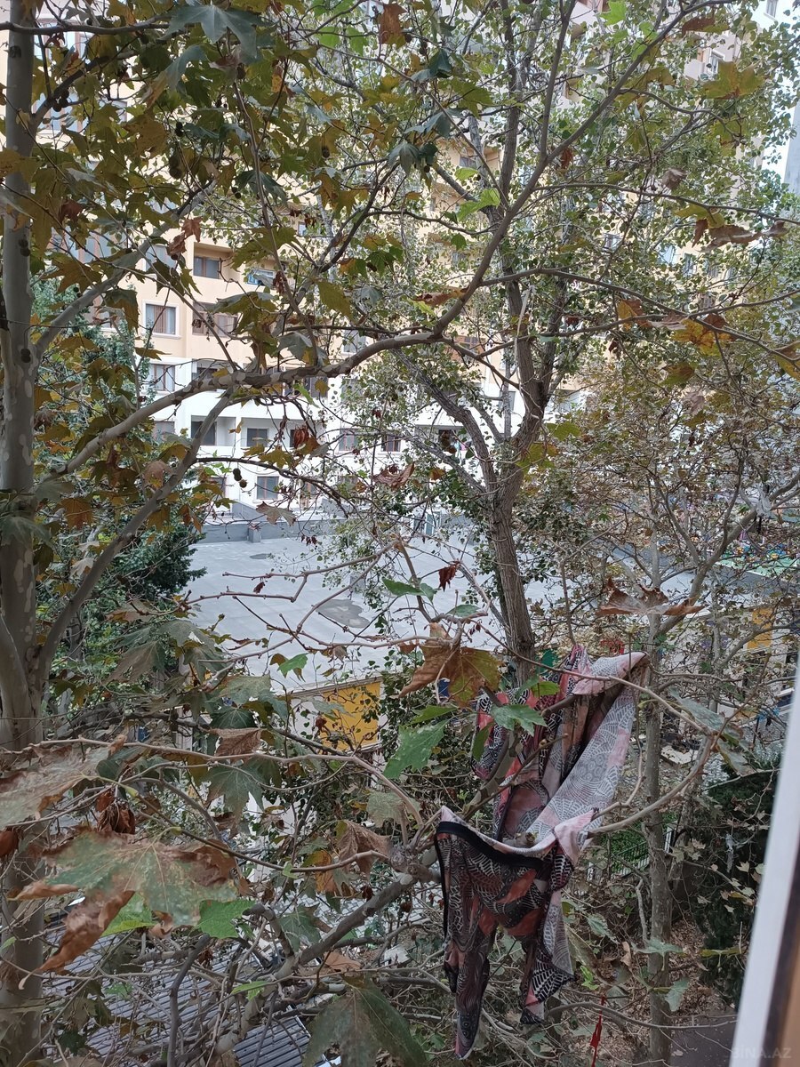 3 otaqlı Köhnə tikili, Xalqlar Dostluğu m., Bakı