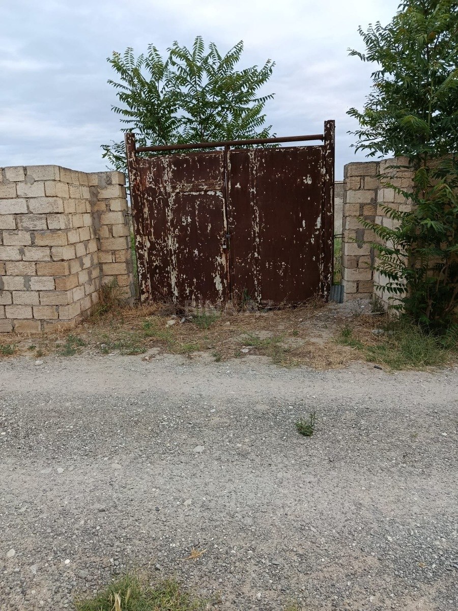 Torpaq Pirşağı q., Bakı