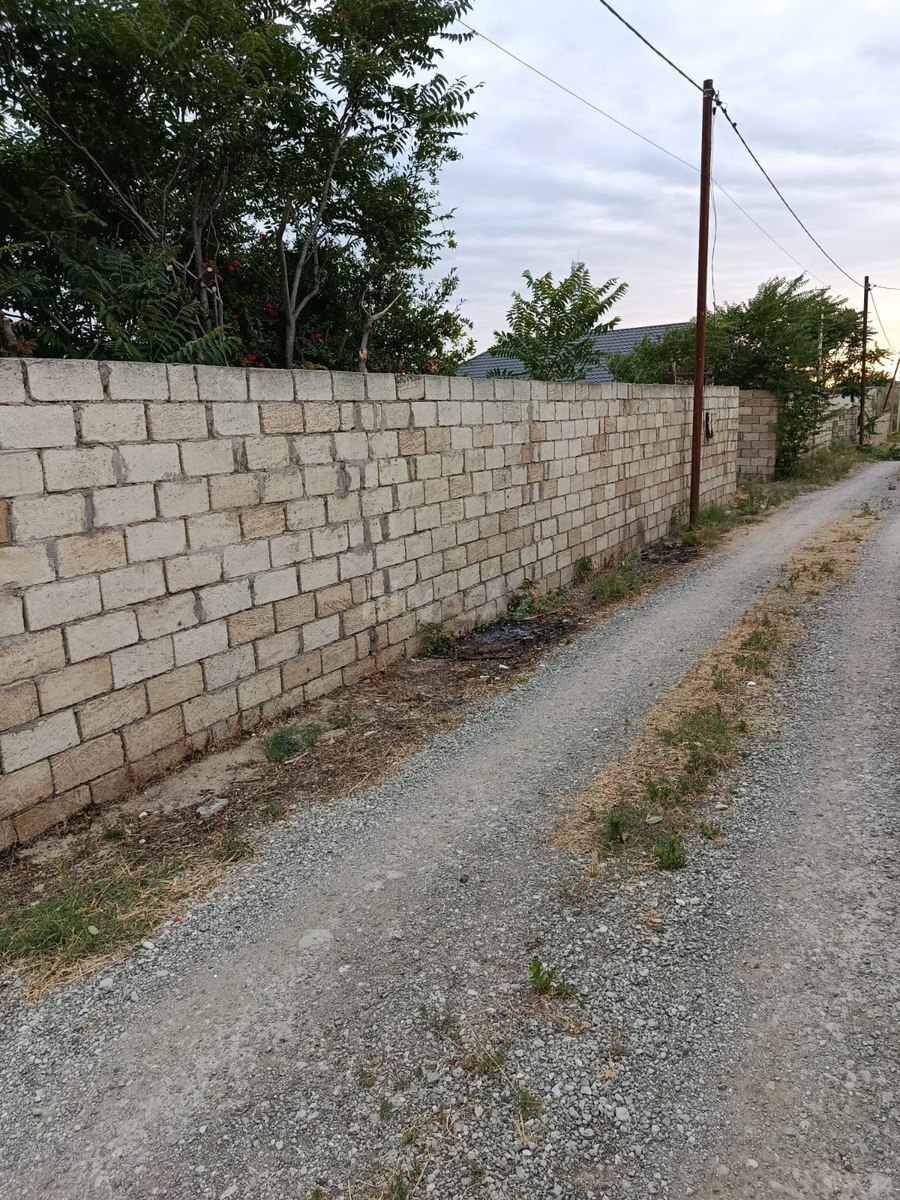 Torpaq Pirşağı q., Bakı
