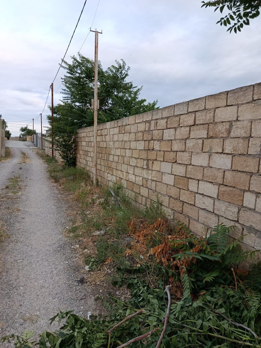 Torpaq Pirşağı q., Bakı