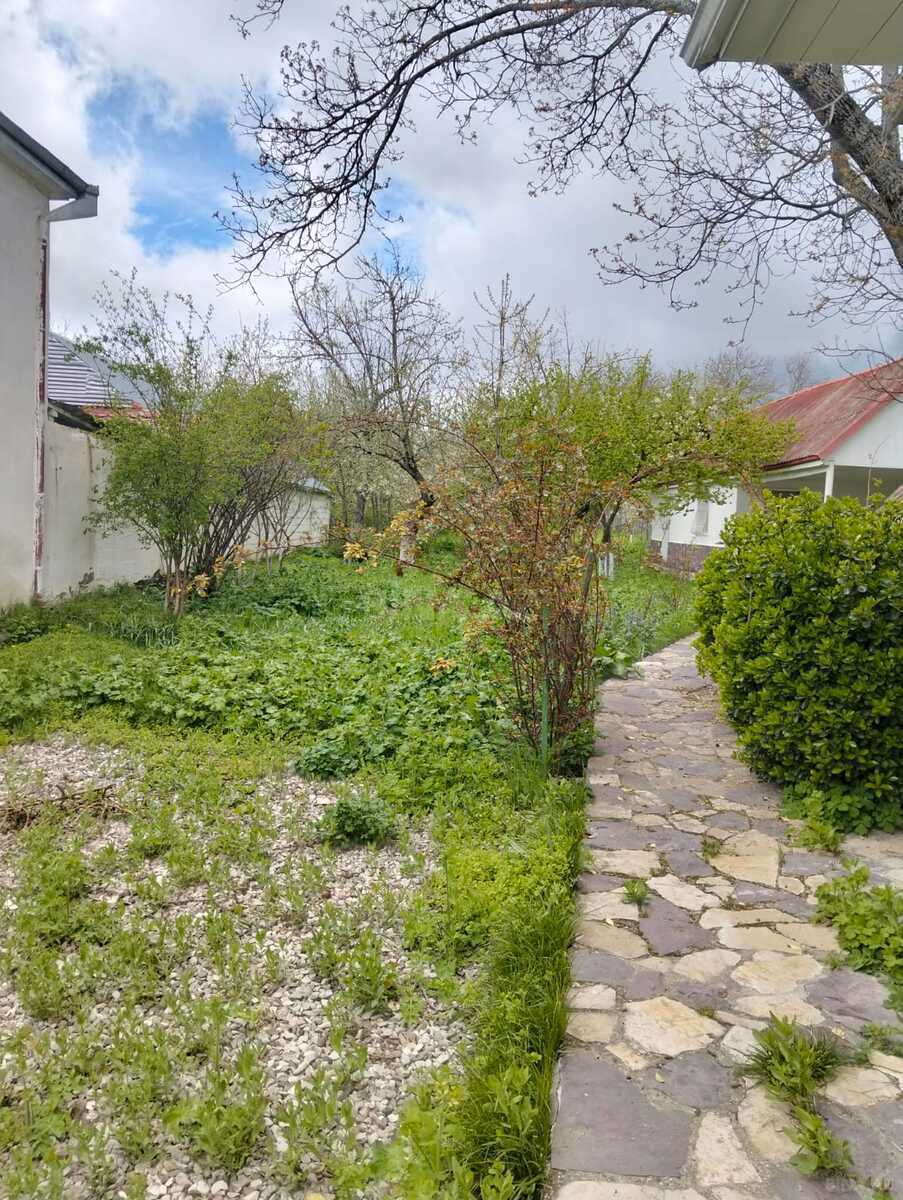 4 otaqlı Həyət evi/Bağ evi, Şamaxı