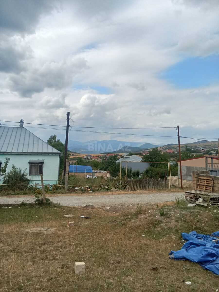 Torpaq Şamaxı