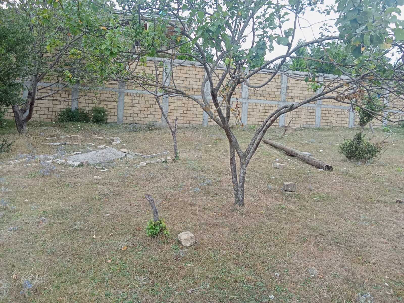 Torpaq Şamaxı