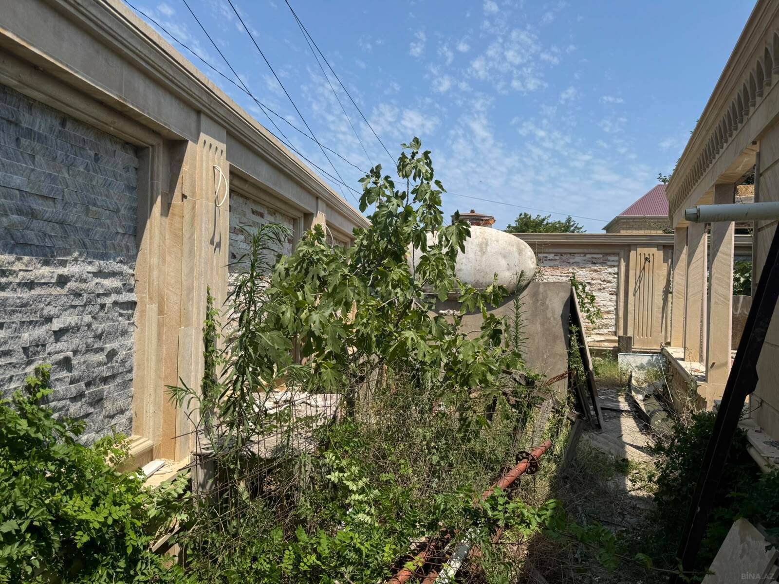 Torpaq Görədil q., Bakı
