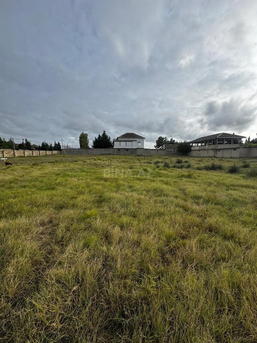 Torpaq Pirşağı q., Bakı