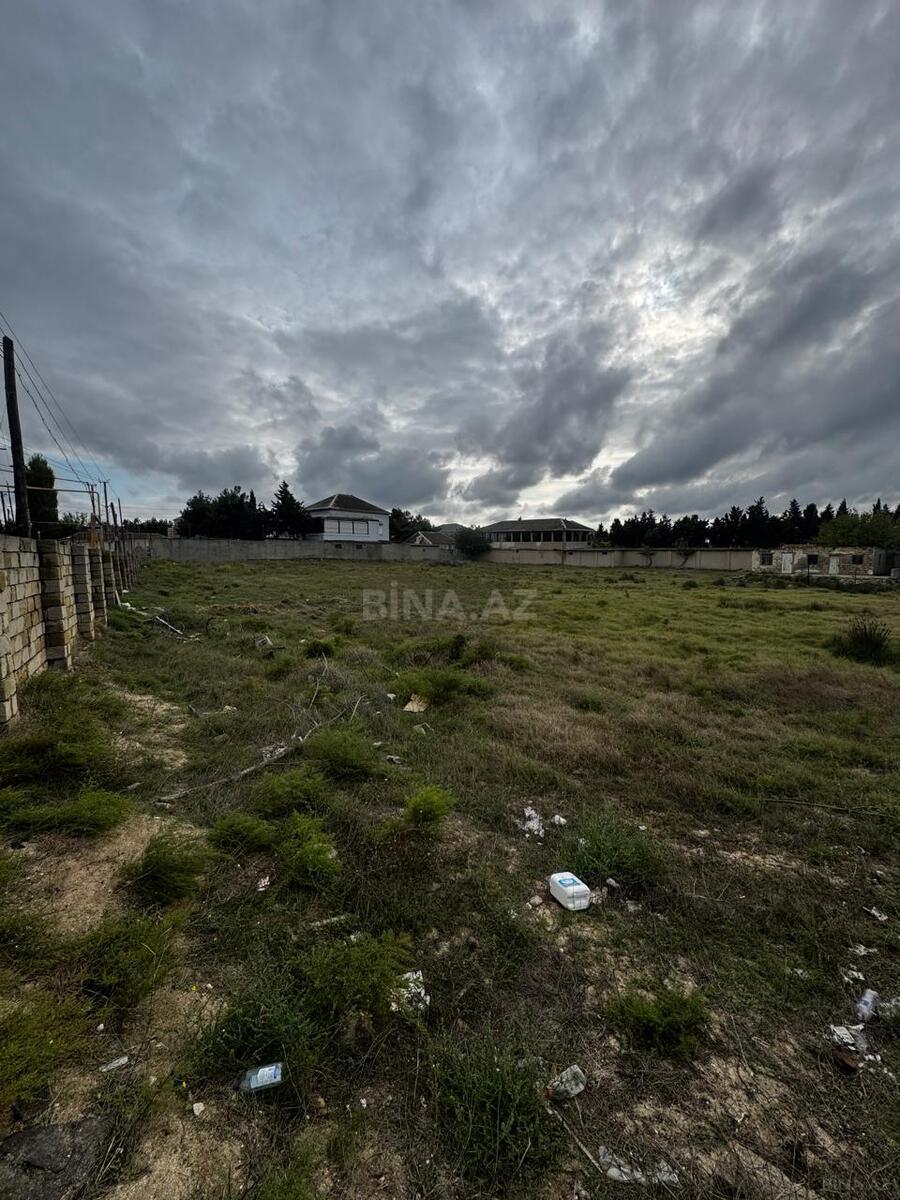 Torpaq Pirşağı q., Bakı