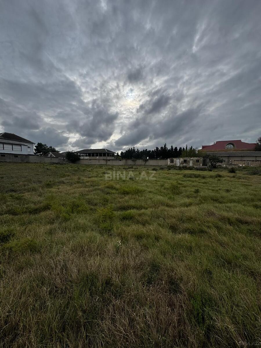 Torpaq Pirşağı q., Bakı