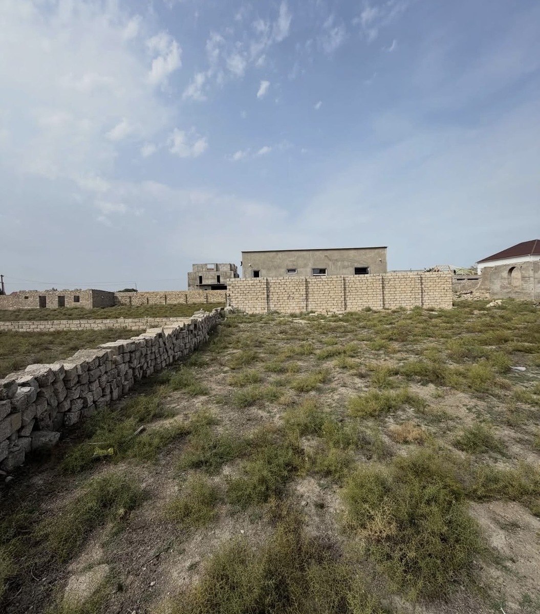 Torpaq Şüvəlan q., Bakı