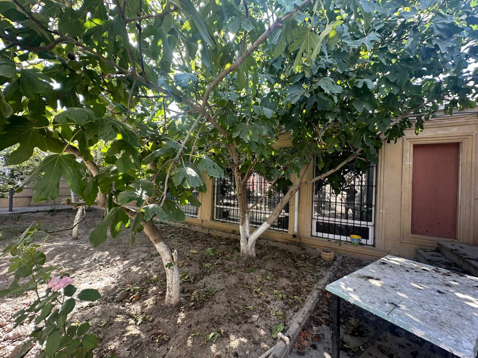 7 otaqlı Həyət evi/Bağ evi, Maştağa q., Bakı