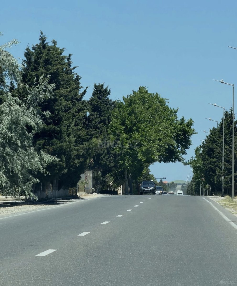 Torpaq Şüvəlan q., Bakı